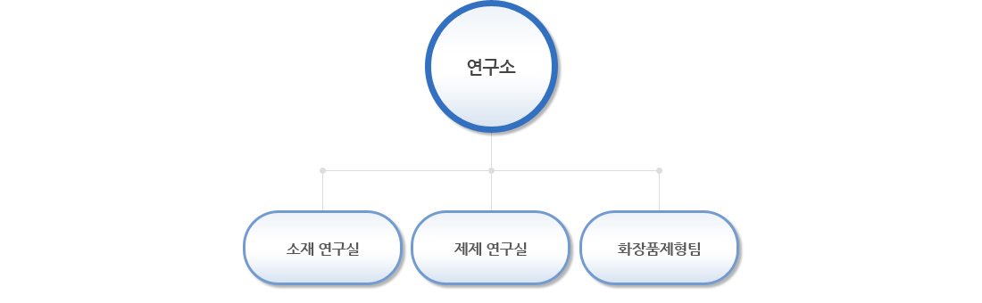 조직도